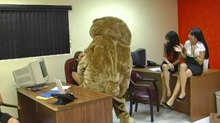Dancing bear stripper gets dry-humped and uses dildos at the office party